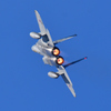 2019岐阜基地航空祭㉑～Ｆ-１５編～