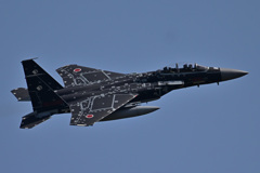 2022_Aggressor_92-8096_4