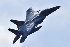 アグレッサー７２-８０９０機（１）