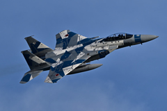 2025AGGRESSOR_82-8093_30