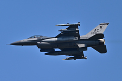 米軍主催訓練”レゾリュート・フォース・パシフィック_04