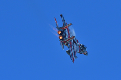航空祭機動飛行・予行～アグレッサー＃８０８３機～（５）