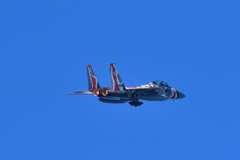 航空祭機動飛行・予行～アグレッサー＃８０８３機～（７）