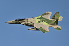 2025AGGRESSOR_32-8081_16
