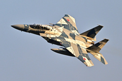 2025AGGRESSOR_82-8093_34