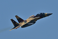2025AGGRESSOR_92-8095_22