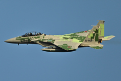 2025AGGRESSOR_32-8081_05