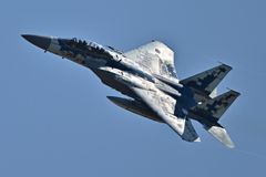 2025AGGRESSOR_32-8087_01