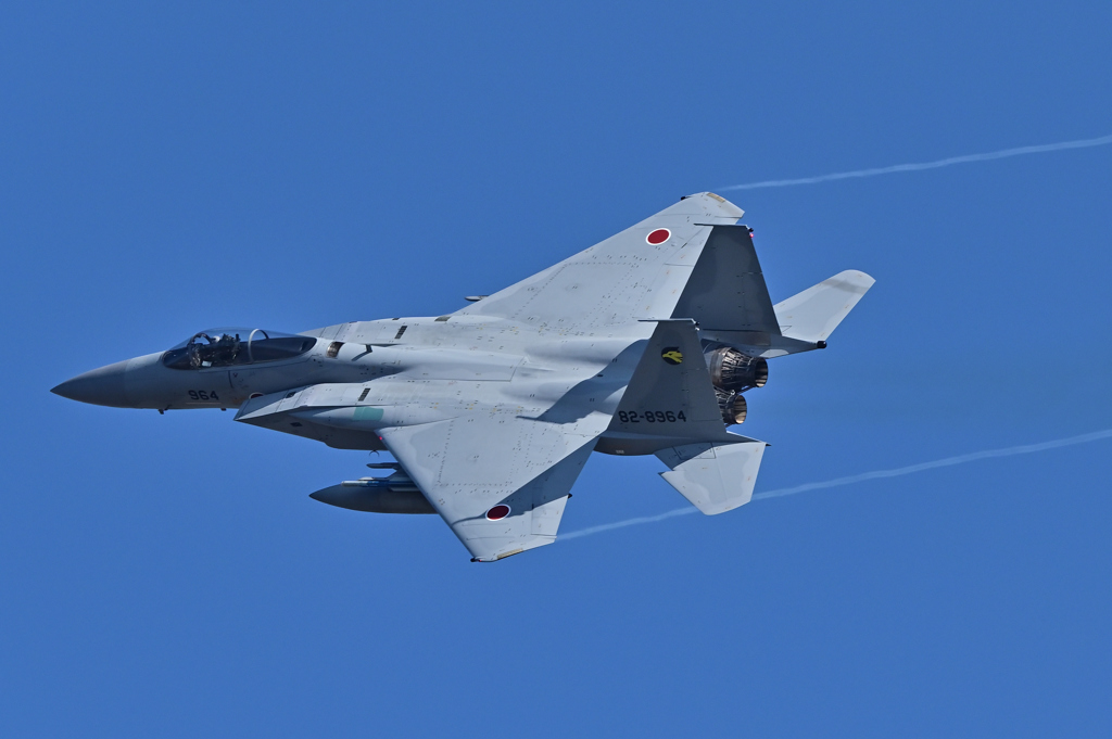 青空の中へ、飛び立つイーグル（３）