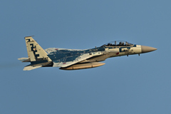 2025AGGRESSOR_32-8087_07