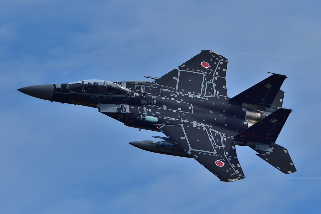 Aggressor All Black