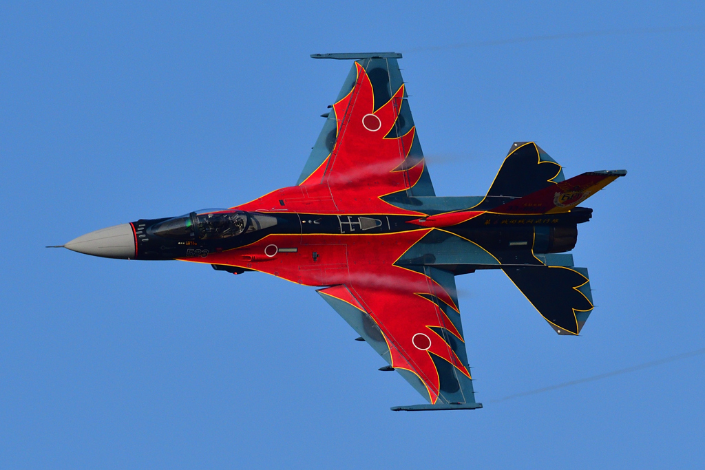 2019築城基地航空祭～八咫烏スぺマ⑦～