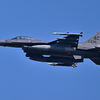 米軍主催訓練”レゾリュート・フォース・パシフィック_08
