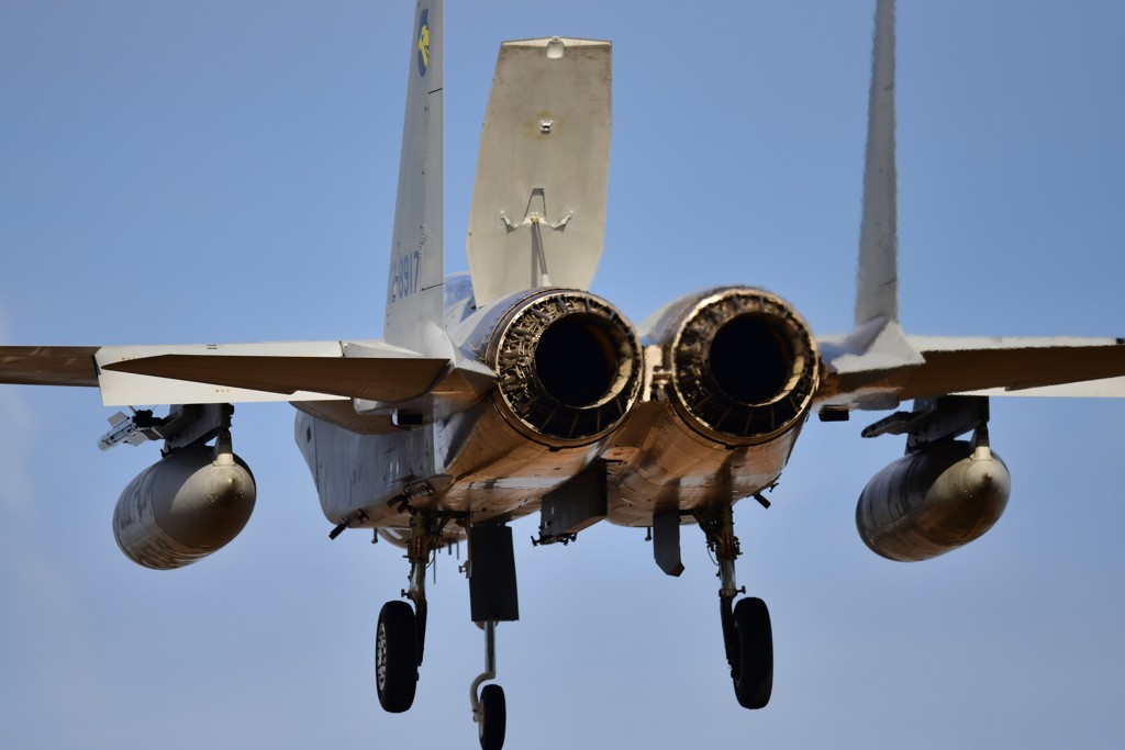 Ｆ１５の後姿