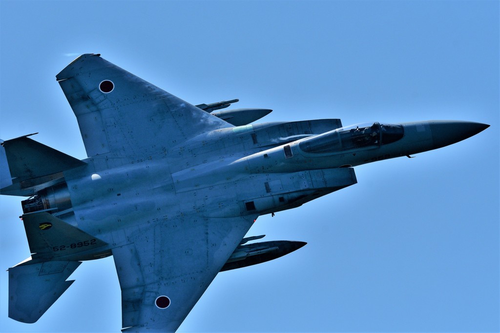 ３０６ＳＱのこの機だけ元気・・・おさまりきれないぞ～！