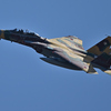 2025AGGRESSOR_92-8095_03