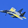 これで最後、３０６飛行隊創設４０周年記念塗装機_01