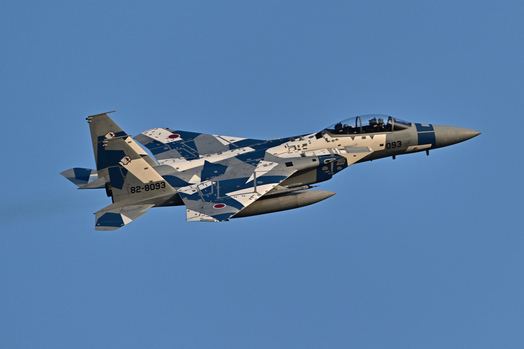 2025AGGRESSOR_82-8093_04