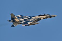 2025AGGRESSOR_82-8093_04