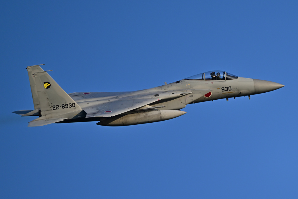 2023ゴールデンイーグル_F-15_19