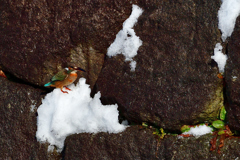 雪塊に着地（５）