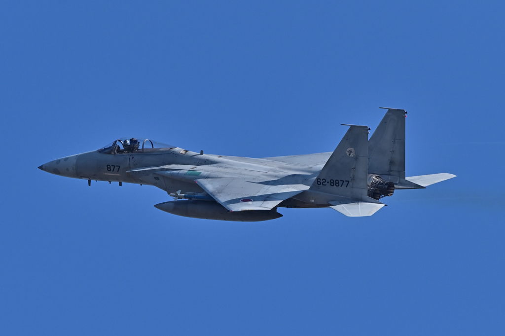 青空の中へ、飛び立つイーグル（１）