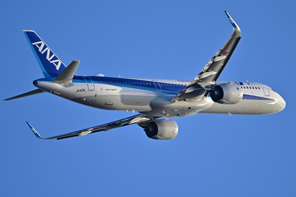 ＡＮＡ_エアバスA３２０_01