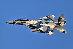 2025AGGRESSOR_82-8093_22