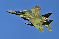 2025AGGRESSOR_92-8070_06