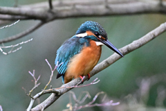 2025-2026翡翠散策_70