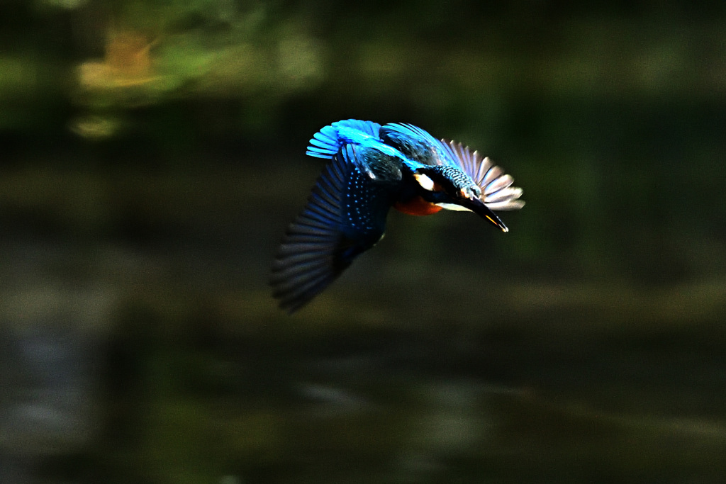 翡翠ＢＬＵＥ！