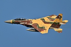 2025AGGRESSOR_92-8095_12