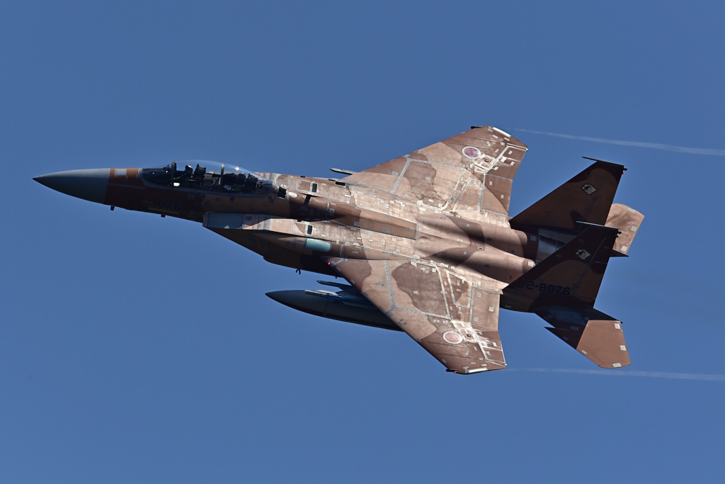 AGR_12-8076_01