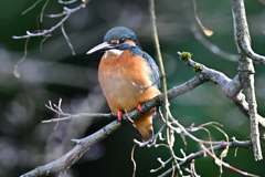 2025-2026翡翠散策_68