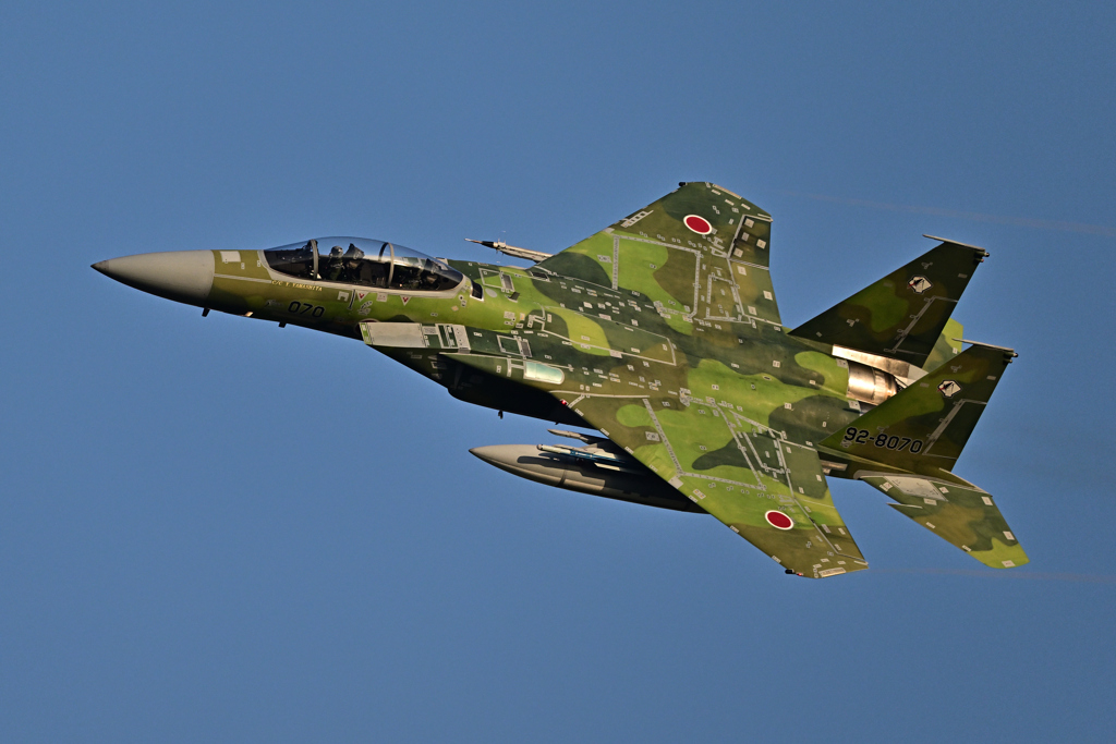 2025AGGRESSOR_92-8070_14