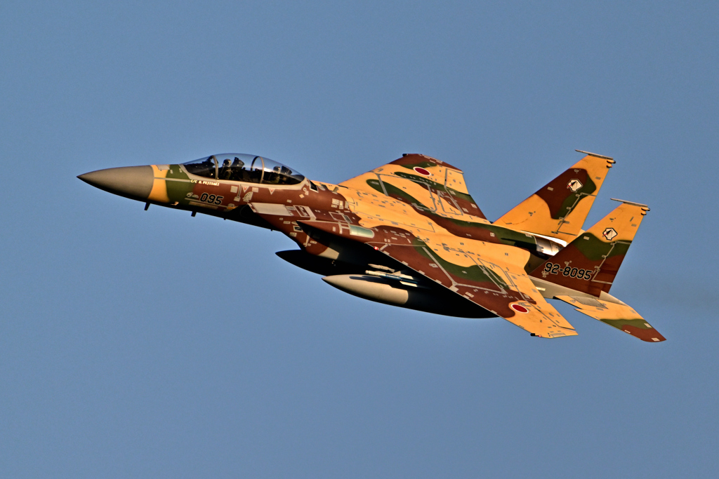 2025AGGRESSOR_92-8095_19