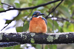 2025-2026翡翠散策_71