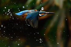 水玉と翡翠