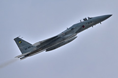 306SQ in KOMATSU F-15_04