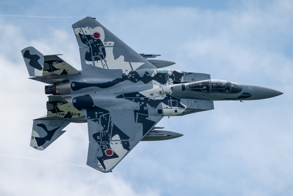 2025AGGRESSOR_12-8074_13