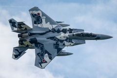 2025AGGRESSOR_12-8074_13