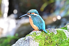 2025-2026翡翠散策_39