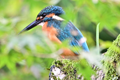 2025-2026翡翠散策_28