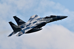 2025AGGRESSOR_82-8093_12