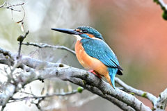 2025-2026翡翠散策_53