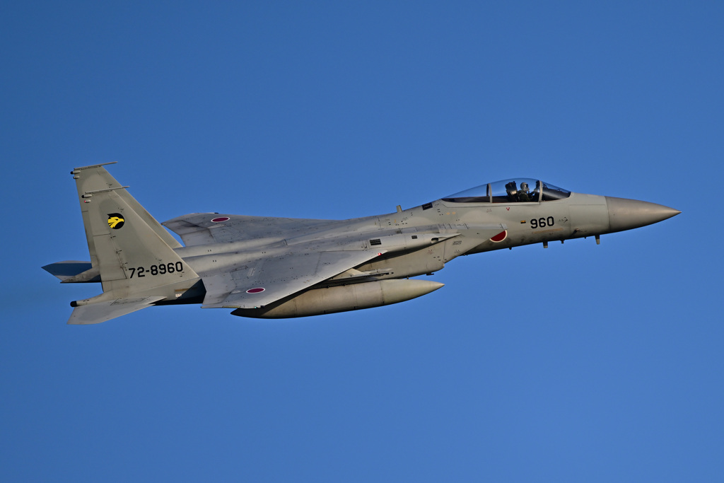 2023ゴールデンイーグル_F-15_24