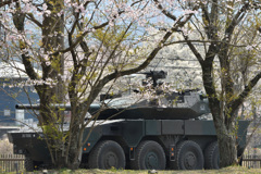 桜と１６式機動戦闘車