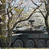 桜と１６式機動戦闘車