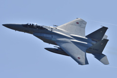 アグレッサー無塗装機＃８０８３