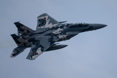 2025AGGRESSOR_12-8074_04